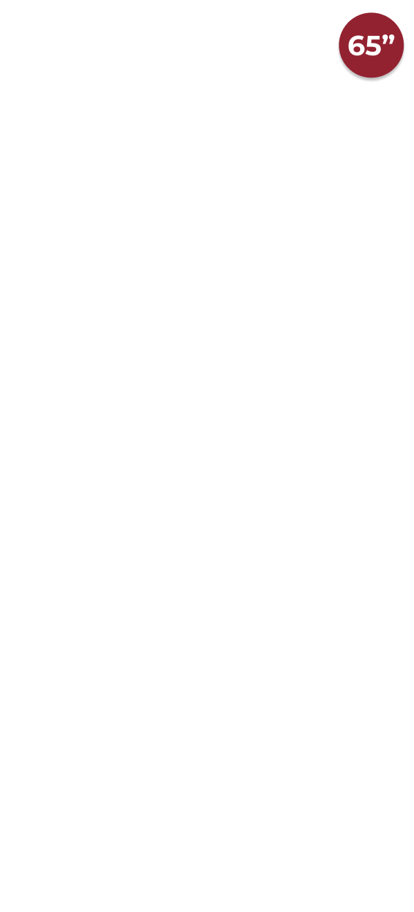 Doorbusters | Samsung 85 | Small Banner