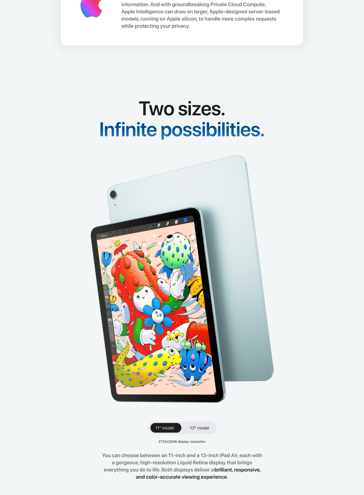 iPad Air pg #8 desktop banner