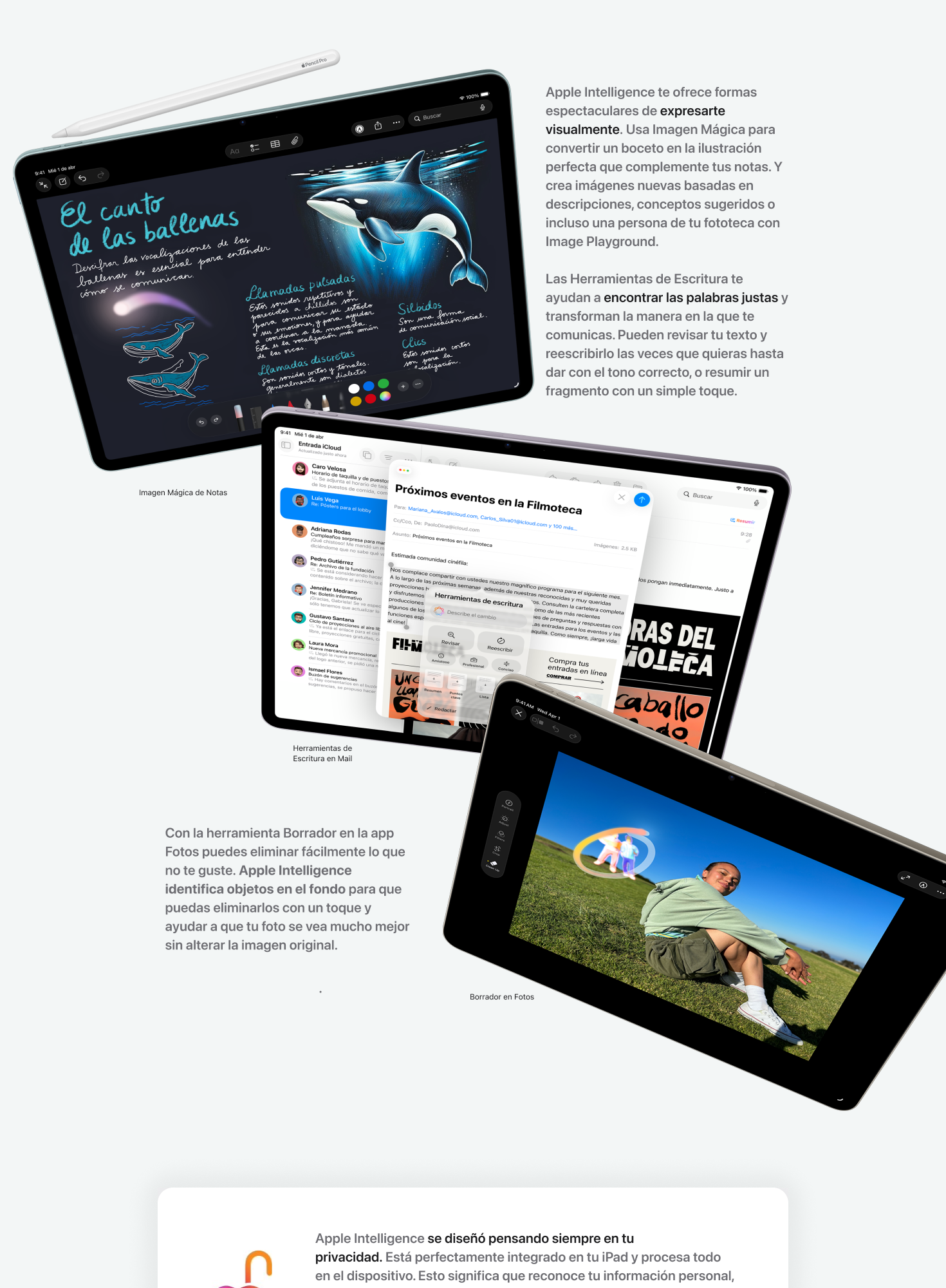 iPad Air pg #7 desktop banner