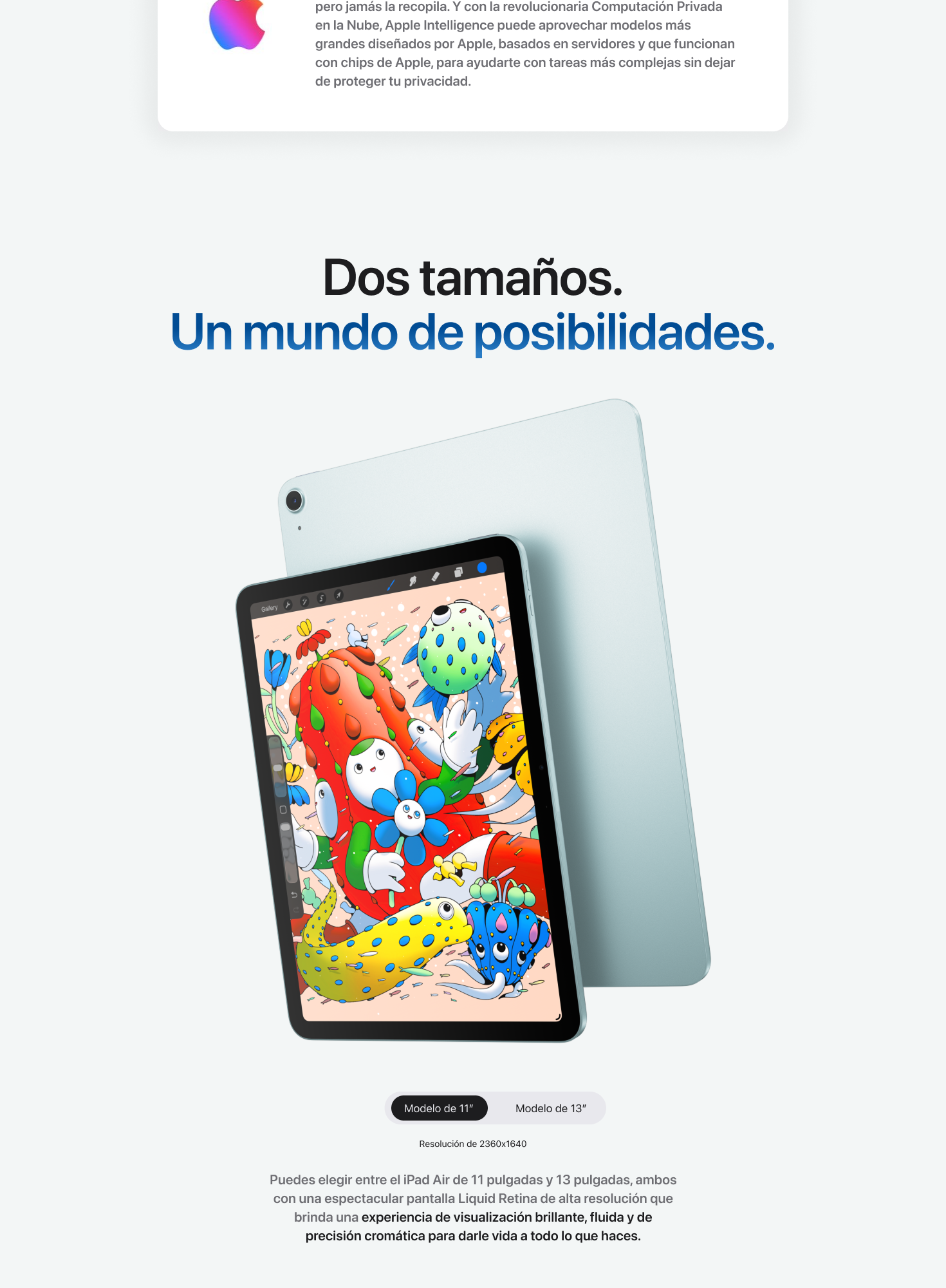 iPad Air pg #8 desktop banner